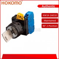 HOKOMO KEY-OPERATED SWITCHES. 90° ~ 2-POSITION ~ 1NO/1NC, (KW1K)