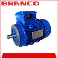 BRANCO BA-IE1B14 Series Aluminium Motor | 0.75HP (0.55KW) | 3-Phase | 4-Pole | 1400 RPM | Flange Mount (BRA-BA-IE1B14-4P0.75HP/F80)